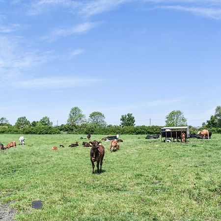 Green Acre Farm Ely Eksteriør bilde